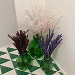 Casa de hóspedes A Signurina Piscicelli Nápoles